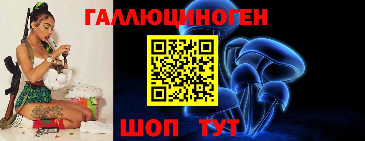 где купить   Вход с VPN  Псилоцибиновые грибы Cubensis  Королёв  Галлюциногенные грибы Psilocybe 